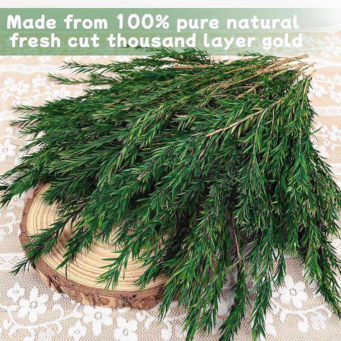 Dried Greenery Stem Decor, 2 Bundles 17" Real Green Melaleuca Bracteata Branch Preserved Plant for Home Vase Floral Design DIY Arrangement Fragment Spring Decorations (Natural Green)