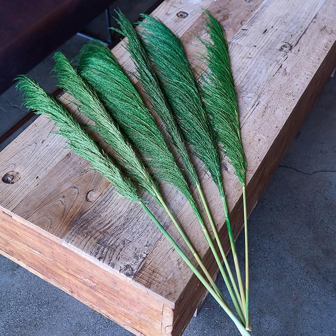 Pampas Grass Decor Tall,Long Pampas, Large Pompas Floral, Elegant Feather Flowers for Wedding Decorations, Living Room Decor (Natural Green, 4pcs 43.3"(110cm))
