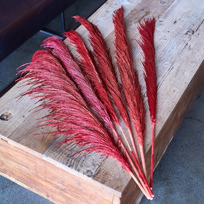 Pampas Grass Decor Tall,Long Pampas, Large Pompas Floral, Elegant Feather Flowers for Wedding Decorations, Living Room Decor (Natural Red, 4pcs 43.3"(110cm))