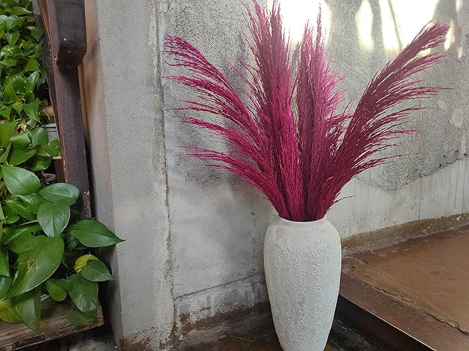 Pampas Grass Decor Tall,Long Pampas, Large Pompas Floral, Elegant Feather Flowers for Wedding Decorations, Living Room Decor (Natural Purple Red, 8pcs 31.5"(80cm))