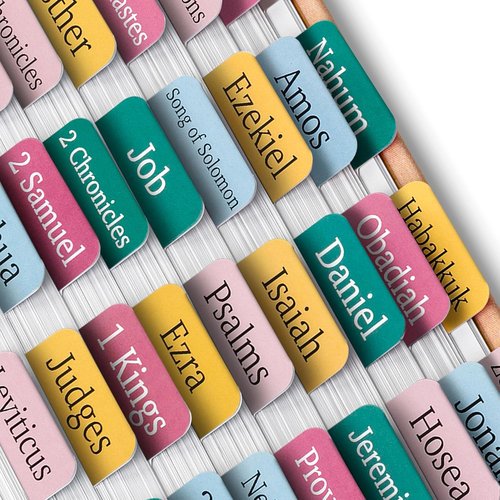 Mr. Pen Bible Tabs - 75 Laminated Index Tabs for Study Bibles | Serene Spring Design