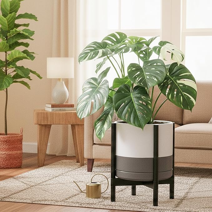 D'vine Dev Ceramic Planter with Ebony Stand - 14 Inch Modern Round Flower Pot with Wood Planter Holder, White/Grey, 55-B-S-6
