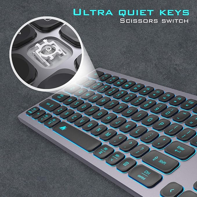 Aluminum Quiet Wired Keyboard Backlit- Slim Chiclet Keyboard Compatible with Apple iMac, MacBook, Mac and PC, USB Numeric Keypad RGB Lighted Key - Space Gray