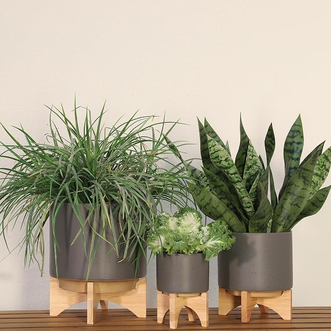 Ceramic Planter with Wood Stand - 5 Inch Matte Gray Unpatterned Indoor Flower Pot and Succulent Plant Pot with Drainage Hole, 1 Pack