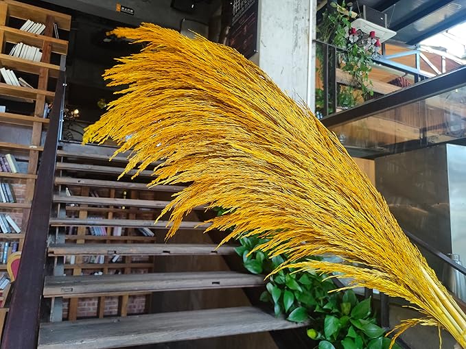 Pampas Grass Decor Tall,Long Pampas, Large Pompas Floral, Elegant Feather Flowers for Wedding Decorations, Living Room Decor (Natural Gold, 8pcs 31.5"(80cm))