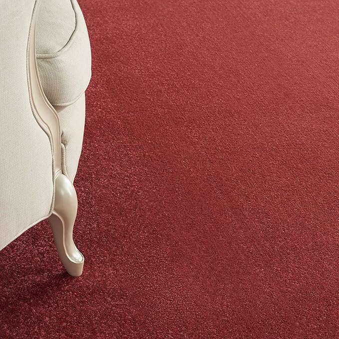 Nourison Home Nourison Essentials Brick Red 7' x 10' Area Rug - Easy Clean, Non Shedding, Bed Room, Living Room, Dining Room, Kitchen (7' x 10')