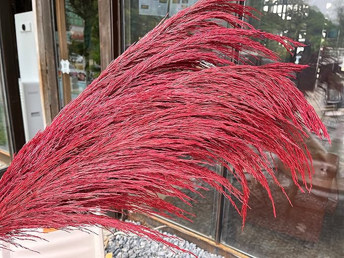 Pampas Grass Decor Tall,Long Pampas, Large Pompas Floral, Elegant Feather Flowers for Wedding Decorations, Living Room Decor (Natural Red, 8pcs 31.5"(80cm))