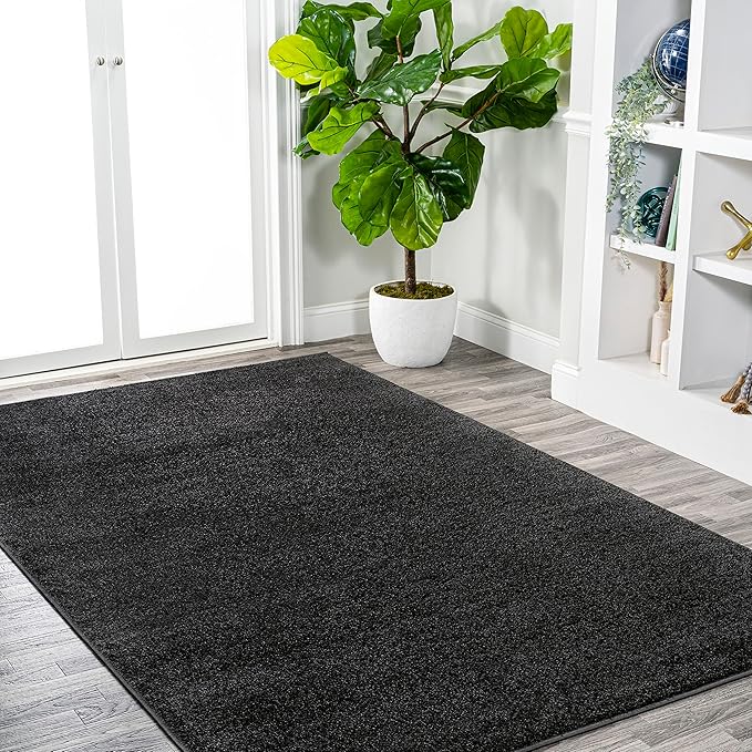 JONATHAN Y Haze Solid Low-Pile Black Indoor Area Rug 10x14, Coastal,Bohemian,Minimalist,Classic, Easy-Cleaning for Living Room,Bedroom,Kitchen,Pet Friendly,Non-Shedding (SEU100I-14)