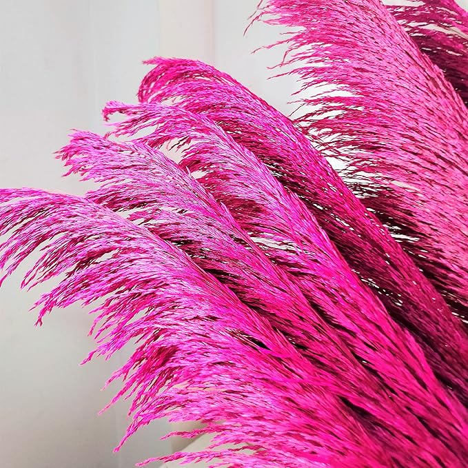 Pampas Grass Decor Tall,Long Pampas, Large Pompas Floral, Elegant Feather Flowers for Wedding Decorations, Living Room Decor (Natural Purple Red, 4pcs 43.3"(110cm))
